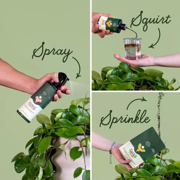 WE THE WILD House Plant Care Essentials Kit - Picture 5 of 6